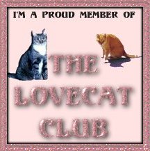 The Love Cat Club